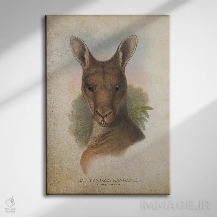 تابلو کانگوروی خاکستری شرقی (چاپ وینتیج) اثر پیکسل کهنه (استودیو/نام هنری) - نمای روبهرو روی دیوار