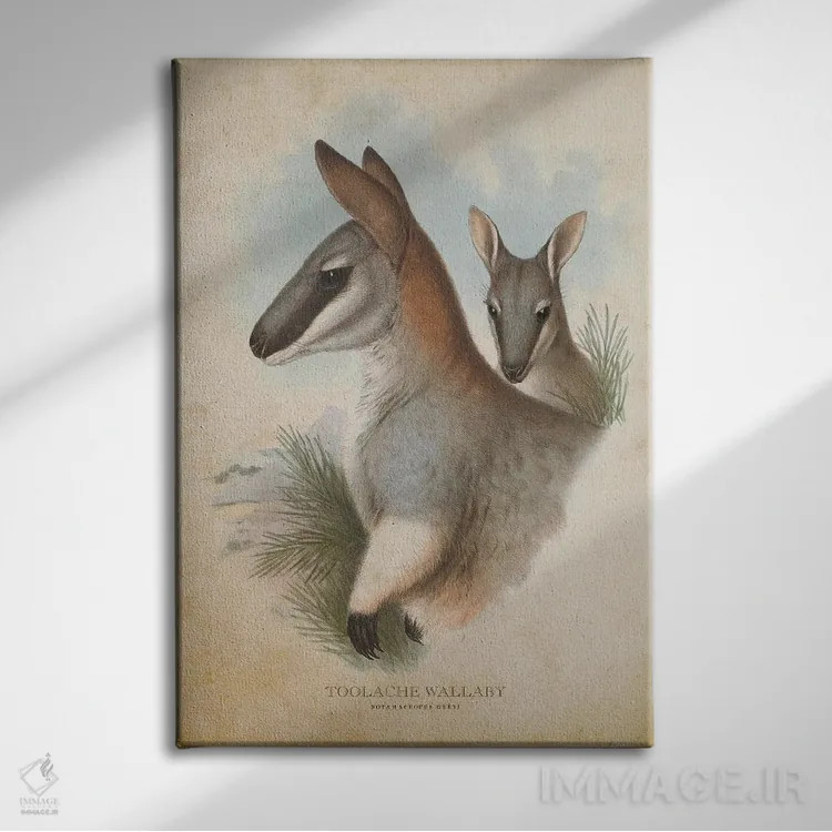 تابلو والابی تولاش (چاپ وینتیج) اثر پیکسل کهنه (استودیو/نام هنری) - نمای روبهرو روی دیوار