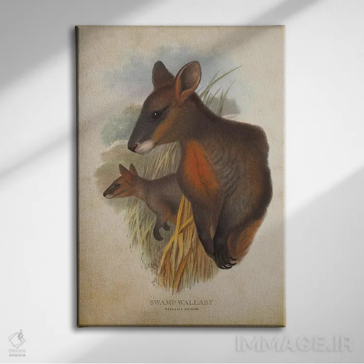 تابلو والابی مردابی (چاپ وینتیج) اثر پیکسل کهنه (استودیو/نام هنری) - نمای روبهرو روی دیوار