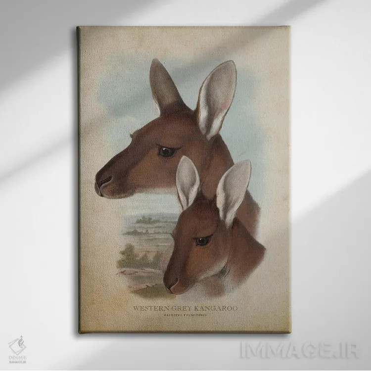 تابلو کانگوروی خاکستری غربی (چاپ وینتیج) اثر پیکسل کهنه (استودیو/نام هنری) - نمای روبهرو روی دیوار