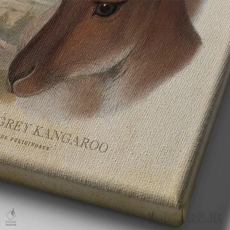 تابلو کانگوروی خاکستری غربی (چاپ وینتیج) اثر پیکسل کهنه (استودیو/نام هنری) - نمای نزدیک بافت بوم