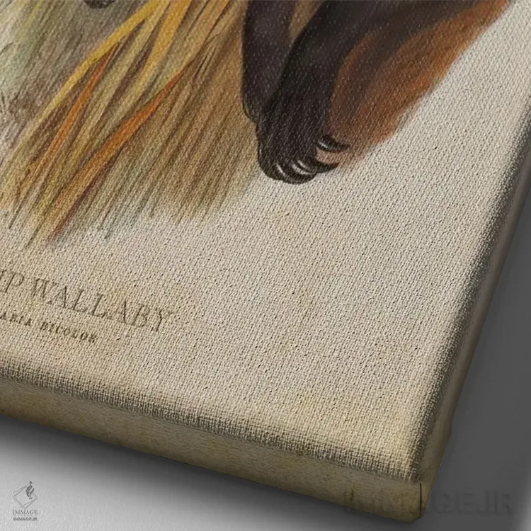 تابلو والابی مردابی (چاپ وینتیج) اثر پیکسل کهنه (استودیو/نام هنری) - نمای نزدیک بافت بوم