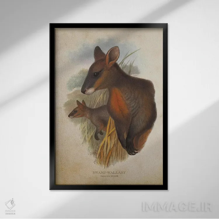 تابلو والابی مردابی (چاپ وینتیج) اثر پیکسل کهنه (استودیو/نام هنری) - نمای قابدار مشکی