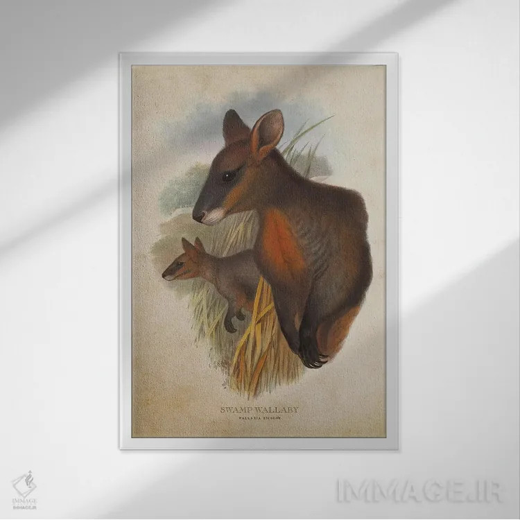 تابلو والابی مردابی (چاپ وینتیج) اثر پیکسل کهنه (استودیو/نام هنری) - نمای قابدار سفید