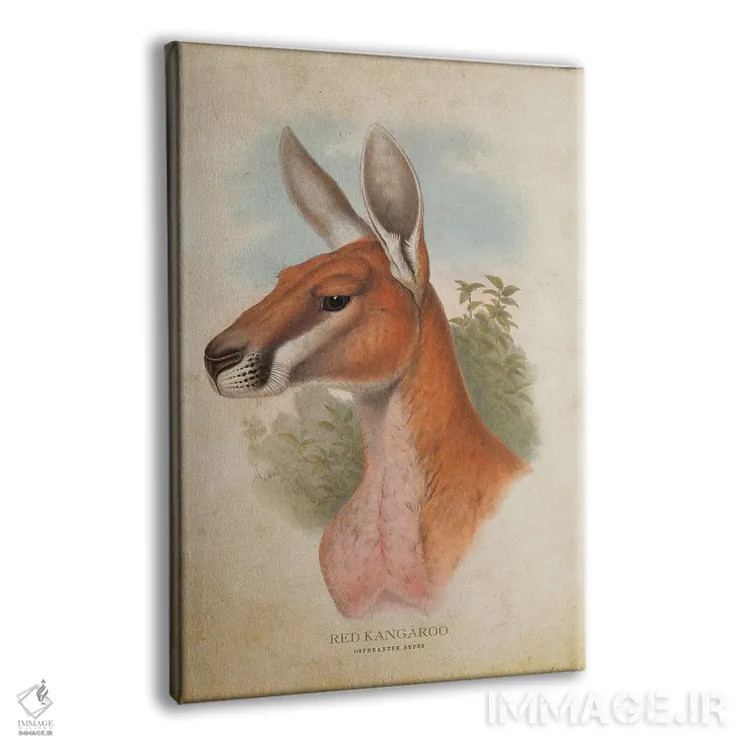 تابلو کانگوروی قرمز (چاپ وینتیج) اثر پیکسل کهنه (استودیو/نام هنری) - نمای پرسپکتیو محصول