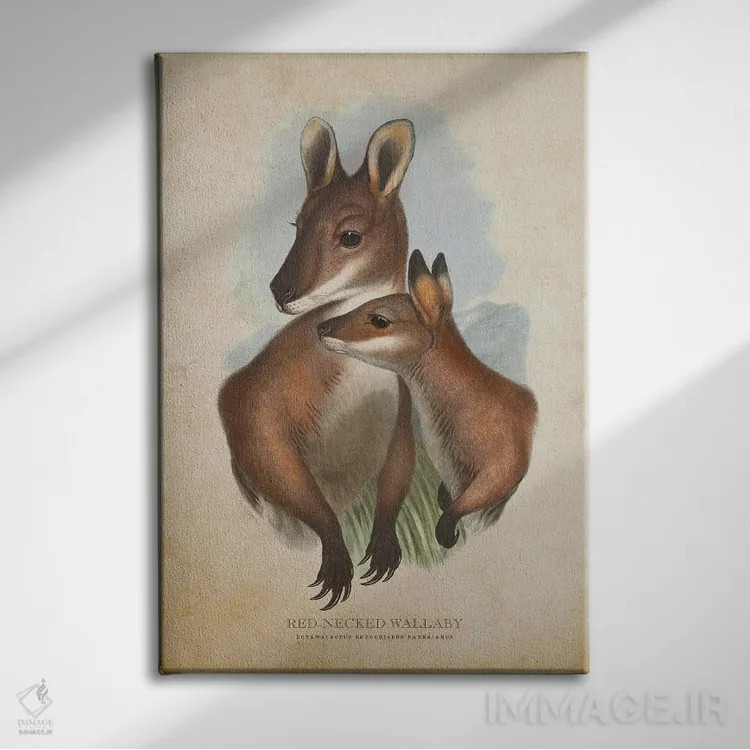 تابلو والابی گردنقرمز (چاپ وینتیج) اثر پیکسل کهنه (استودیو/نام هنری) - نمای روبهرو روی دیوار