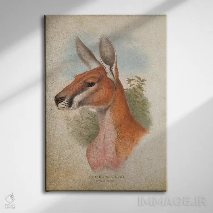 تابلو کانگوروی قرمز (چاپ وینتیج) اثر پیکسل کهنه (استودیو/نام هنری) - نمای روبهرو روی دیوار