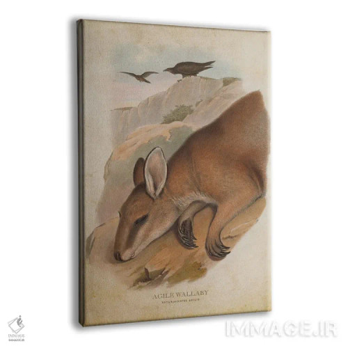 تابلو والابی چابک (چاپ وینتیج) اثر پیکسل کهنه (استودیو/نام هنری) - نمای پرسپکتیو محصول