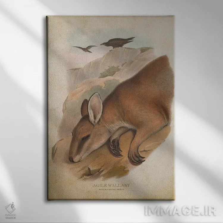 تابلو والابی چابک (چاپ وینتیج) اثر پیکسل کهنه (استودیو/نام هنری) - نمای روبهرو روی دیوار