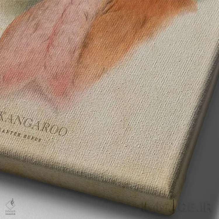 تابلو کانگوروی قرمز (چاپ وینتیج) اثر پیکسل کهنه (استودیو/نام هنری) - نمای نزدیک بافت بوم