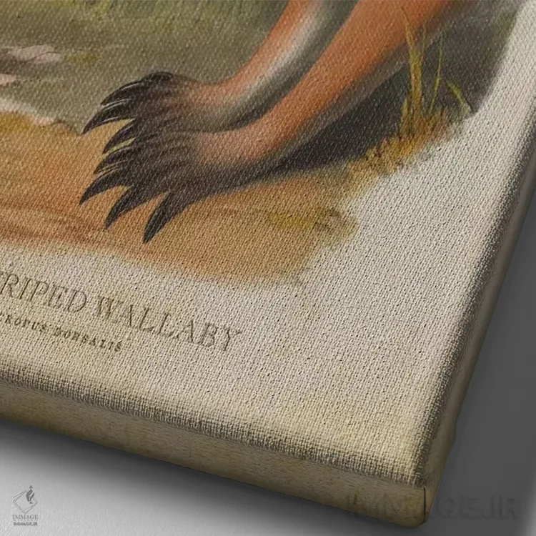 تابلو والابی خطسیاه (چاپ وینتیج) اثر پیکسل کهنه (استودیو/نام هنری) - نمای نزدیک بافت بوم