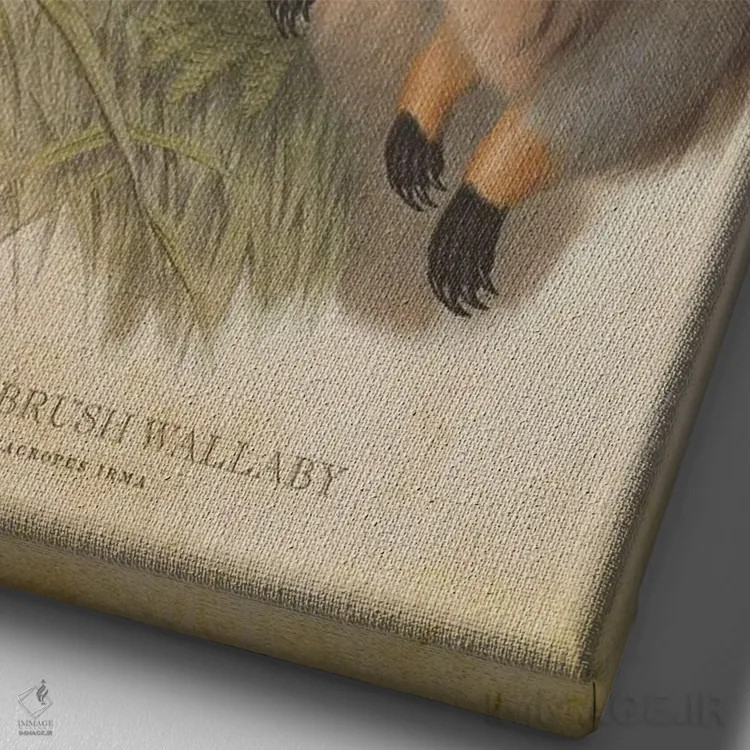 تابلو والابی بیشهای غربی (چاپ وینتیج) اثر پیکسل کهنه (استودیو/نام هنری) - نمای نزدیک بافت بوم