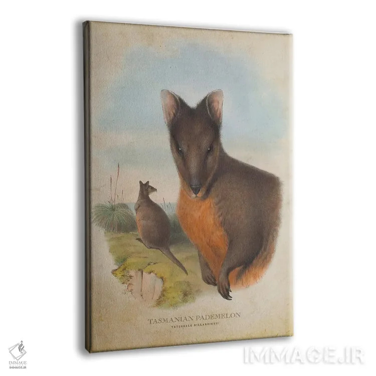 تابلو پادملون تاسمانیایی (چاپ وینتیج) اثر پیکسل کهنه (استودیو/نام هنری) - نمای پرسپکتیو محصول