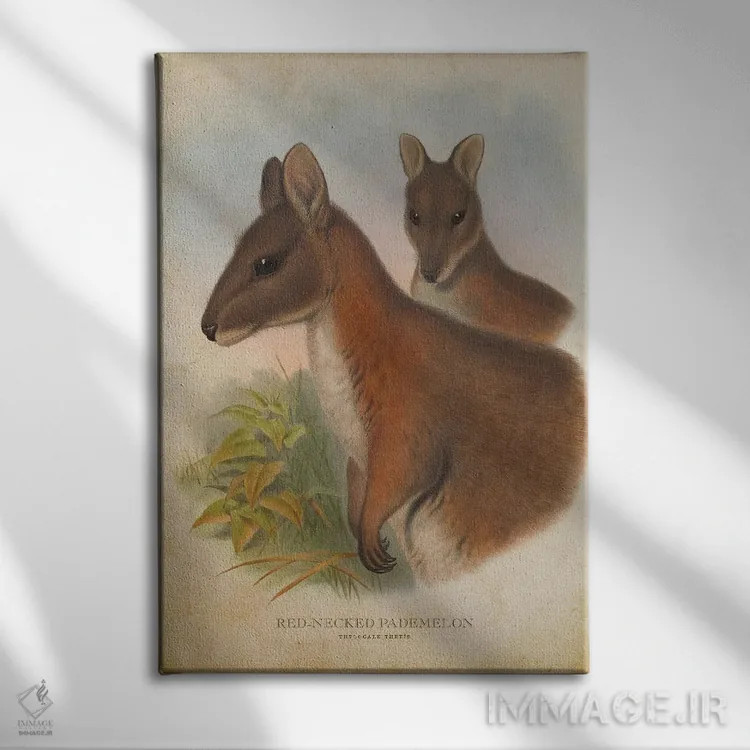 تابلو پادملون گردنقرمز (چاپ وینتیج) اثر پیکسل کهنه (استودیو/نام هنری) - نمای روبهرو روی دیوار