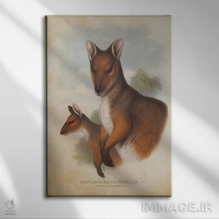 تابلو پادملون پاقرمز (چاپ وینتیج) اثر پیکسل کهنه (استودیو/نام هنری) - نمای روبهرو روی دیوار