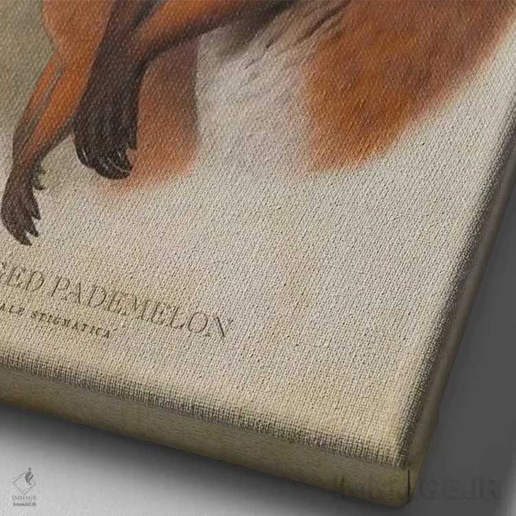 تابلو پادملون پاقرمز (چاپ وینتیج) اثر پیکسل کهنه (استودیو/نام هنری) - نمای نزدیک بافت بوم