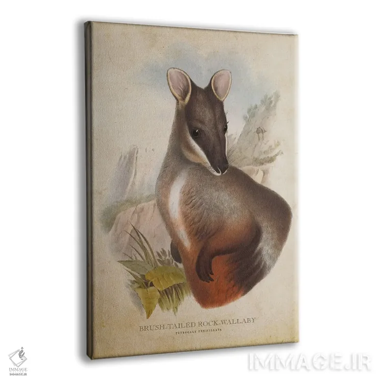 تابلو والابی دمپشتی صخرهای (چاپ وینتیج) اثر پیکسل کهنه (استودیو/نام هنری) - نمای پرسپکتیو محصول