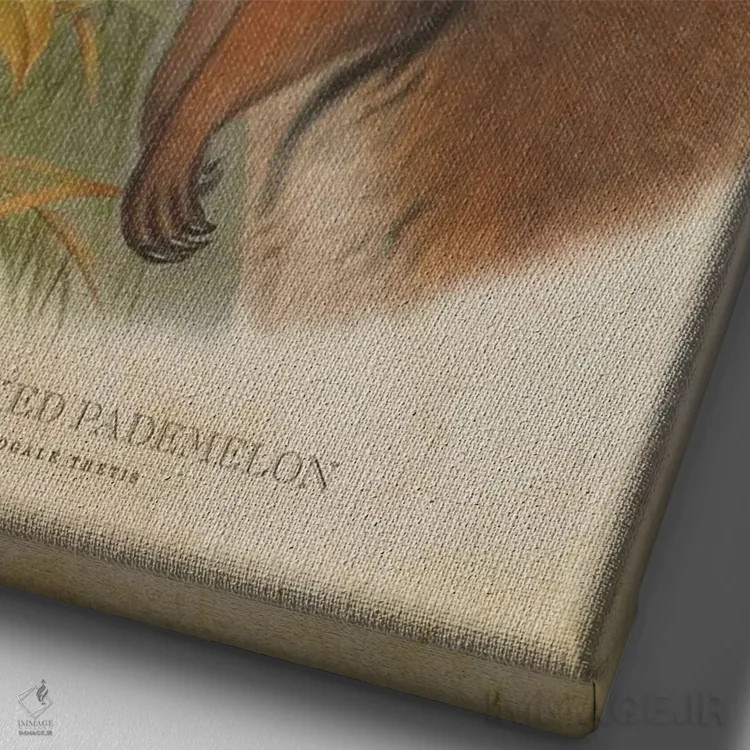 تابلو پادملون گردنقرمز (چاپ وینتیج) اثر پیکسل کهنه (استودیو/نام هنری) - نمای نزدیک بافت بوم