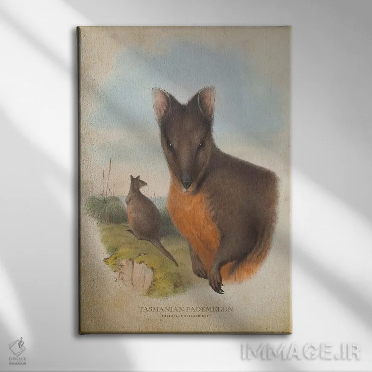 تابلو پادملون تاسمانیایی (چاپ وینتیج) اثر پیکسل کهنه (استودیو/نام هنری) - نمای روبهرو روی دیوار