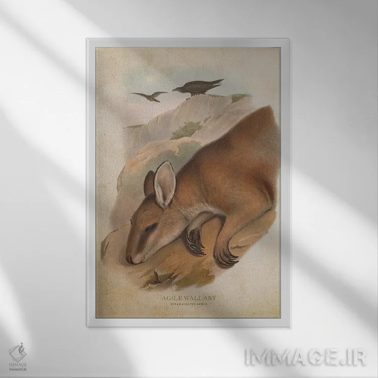 تابلو والابی چابک (چاپ وینتیج) اثر پیکسل کهنه (استودیو/نام هنری) - نمای قابدار سفید