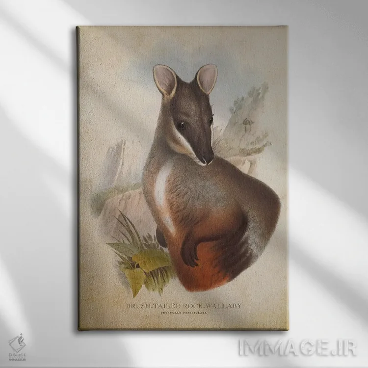 تابلو والابی دمپشتی صخرهای (چاپ وینتیج) اثر پیکسل کهنه (استودیو/نام هنری) - نمای روبهرو روی دیوار