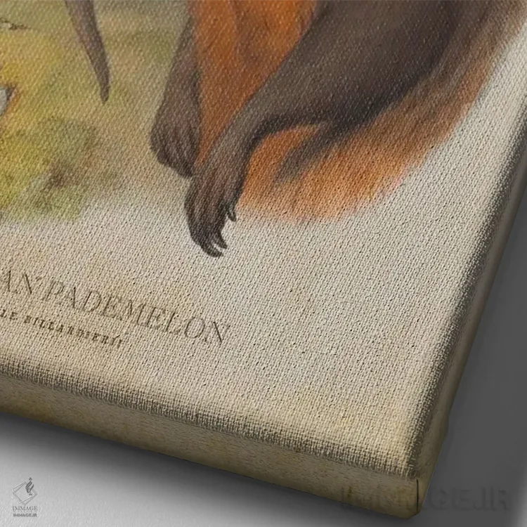 تابلو پادملون تاسمانیایی (چاپ وینتیج) اثر پیکسل کهنه (استودیو/نام هنری) - نمای نزدیک بافت بوم