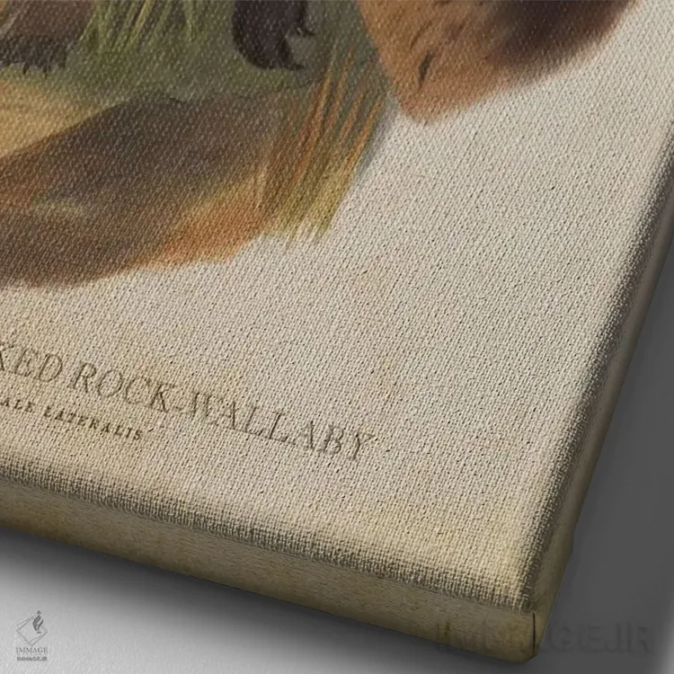 تابلو والابی صخرهای پهلوسیاه (چاپ وینتیج) اثر پیکسل کهنه (استودیو/نام هنری) - نمای نزدیک بافت بوم