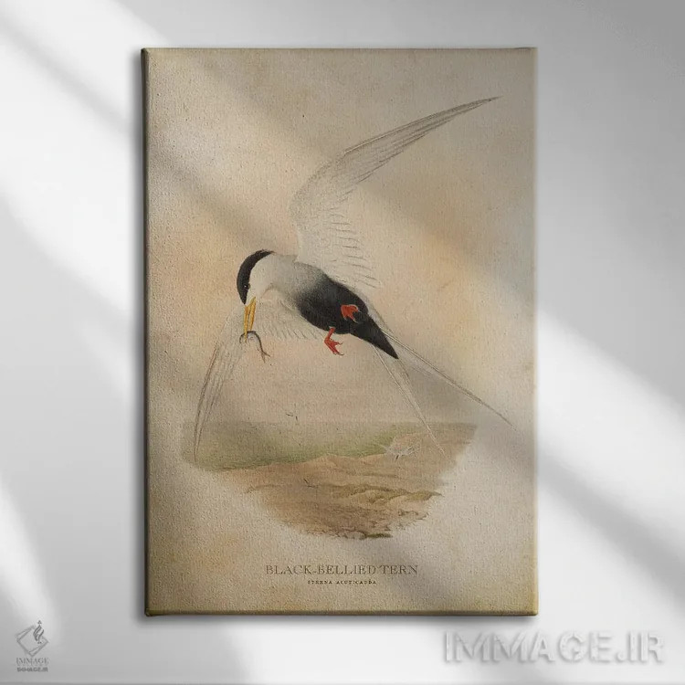 تابلو پرستوی دریایی شکمسیاه (وینتیج) اثر پیکسل کهنه (استودیو/نام هنری) - نمای روبهرو روی دیوار