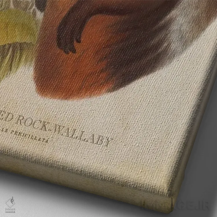 تابلو والابی دمپشتی صخرهای (چاپ وینتیج) اثر پیکسل کهنه (استودیو/نام هنری) - نمای نزدیک بافت بوم