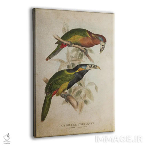 تابلو توقانه منقاردار خالدار (وینتیج) اثر پیکسل کهنه (استودیو/نام هنری) - نمای پرسپکتیو محصول