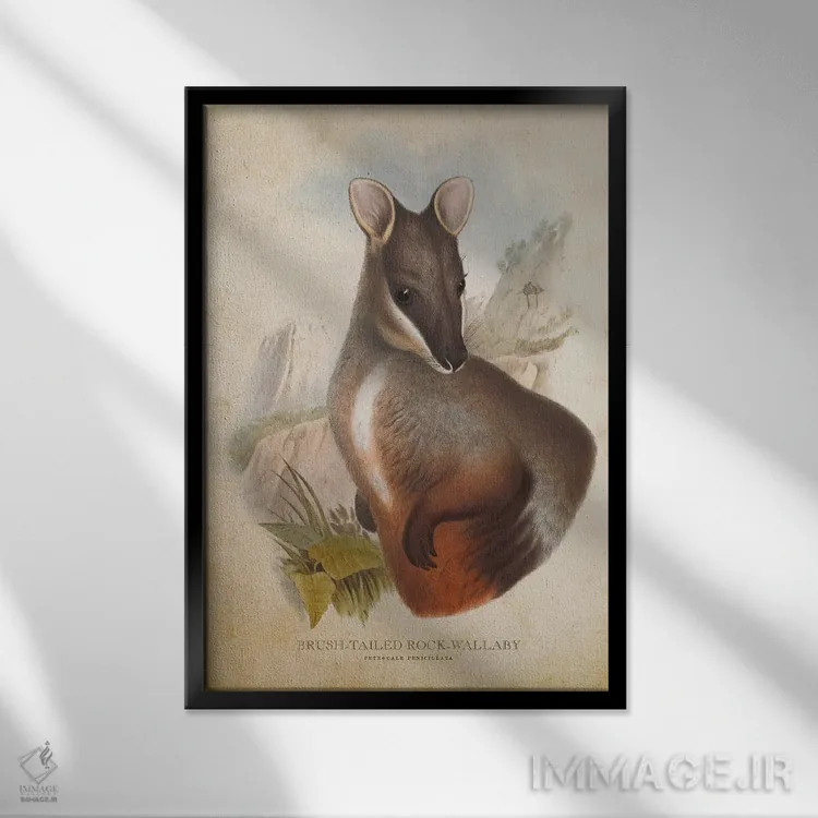 تابلو والابی دمپشتی صخرهای (چاپ وینتیج) اثر پیکسل کهنه (استودیو/نام هنری) - نمای قابدار مشکی