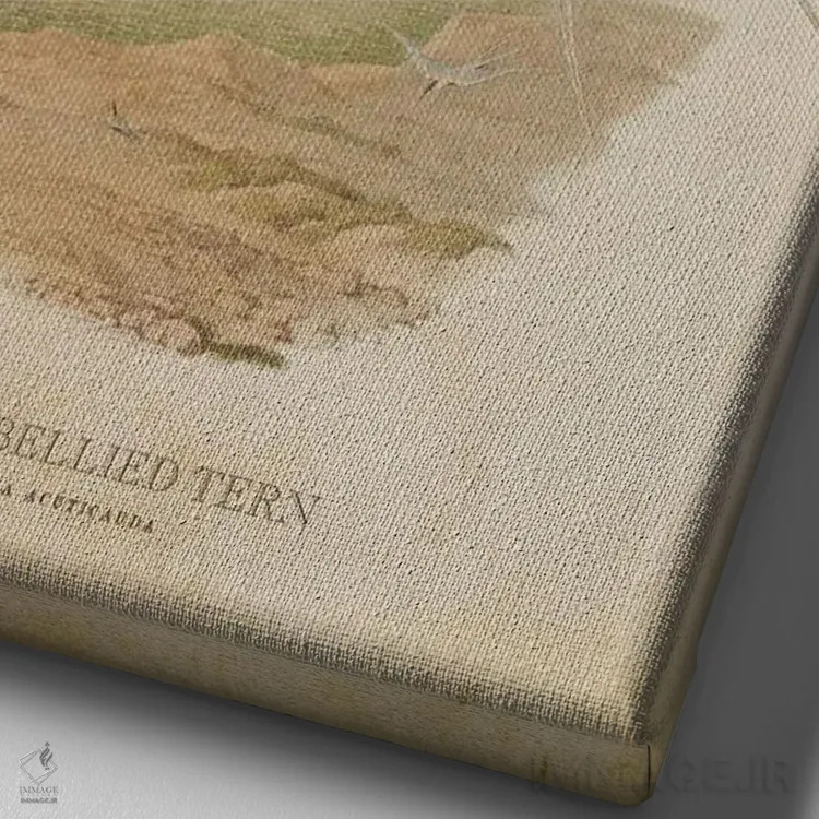 تابلو پرستوی دریایی شکمسیاه (وینتیج) اثر پیکسل کهنه (استودیو/نام هنری) - نمای نزدیک بافت بوم