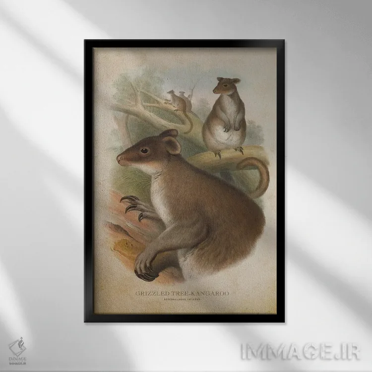تابلو کانگوروی درختی خاکستری (چاپ وینتیج) اثر پیکسل کهنه (استودیو/نام هنری) - نمای قابدار مشکی