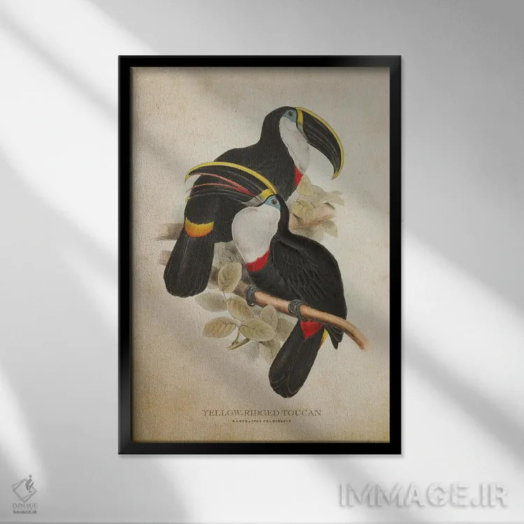 تابلو توقان تاجزرد (وینتیج) اثر پیکسل کهنه (استودیو/نام هنری) - نمای قابدار مشکی