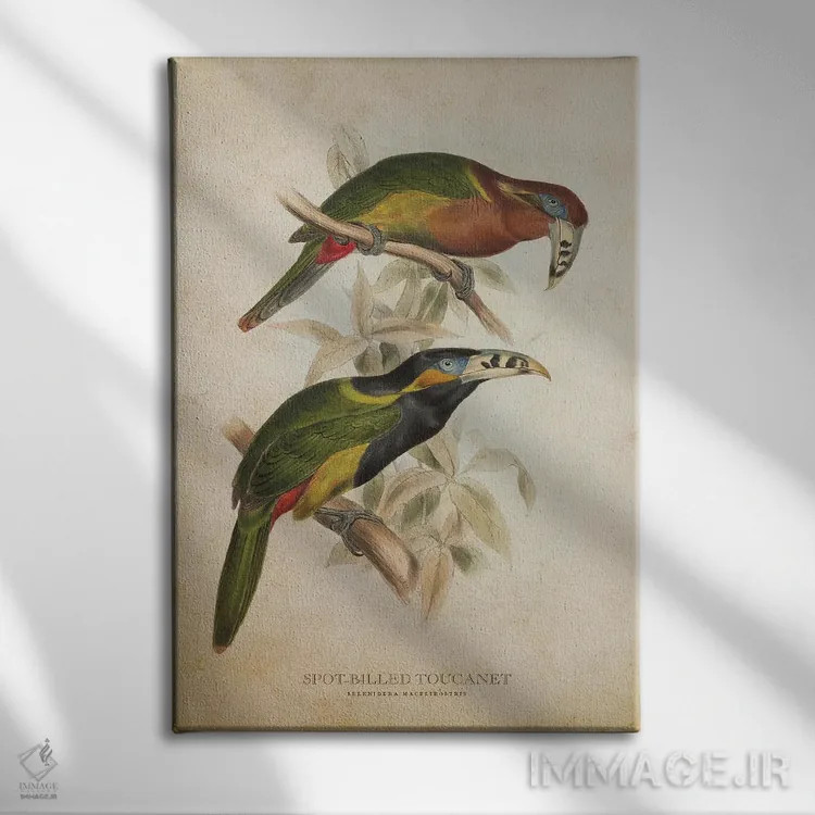 تابلو توقانه منقاردار خالدار (وینتیج) اثر پیکسل کهنه (استودیو/نام هنری) - نمای روبهرو روی دیوار