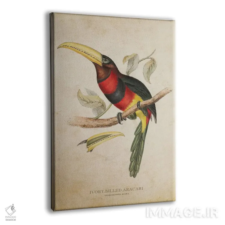 تابلو آراکاری منقارعاجی (وینتیج) اثر پیکسل کهنه (استودیو/نام هنری) - نمای پرسپکتیو محصول