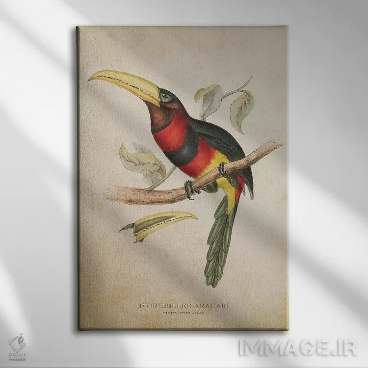 تابلو آراکاری منقارعاجی (وینتیج) اثر پیکسل کهنه (استودیو/نام هنری) - نمای روبهرو روی دیوار