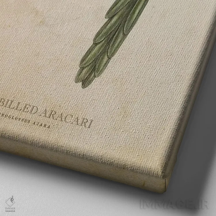 تابلو آراکاری منقارعاجی (وینتیج) اثر پیکسل کهنه (استودیو/نام هنری) - نمای نزدیک بافت بوم