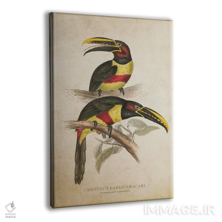 تابلو آراکاری گوشبلوطی (وینتیج) اثر پیکسل کهنه (استودیو/نام هنری) - نمای پرسپکتیو محصول