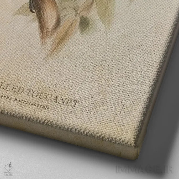 تابلو توقانه منقاردار خالدار (وینتیج) اثر پیکسل کهنه (استودیو/نام هنری) - نمای نزدیک بافت بوم