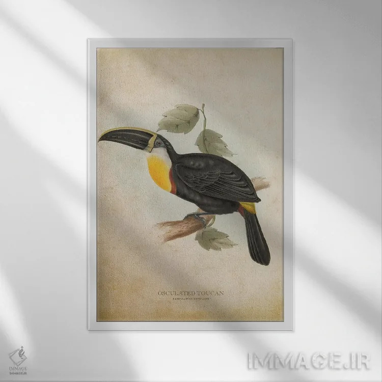 تابلو توقان حلقهدار (وینتیج) اثر پیکسل کهنه (استودیو/نام هنری) - نمای قابدار سفید