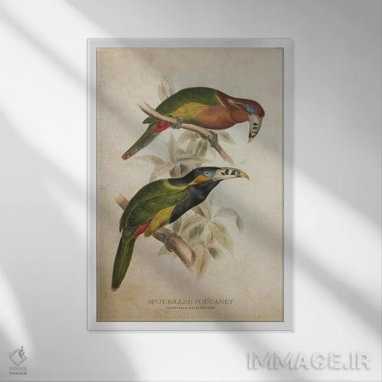 تابلو توقانه منقاردار خالدار (وینتیج) اثر پیکسل کهنه (استودیو/نام هنری) - نمای قابدار سفید