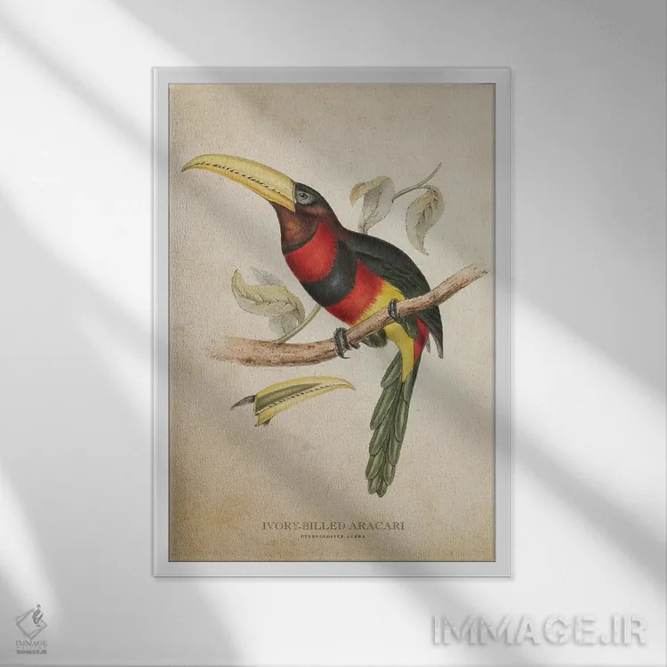 تابلو آراکاری منقارعاجی (وینتیج) اثر پیکسل کهنه (استودیو/نام هنری) - نمای قابدار سفید