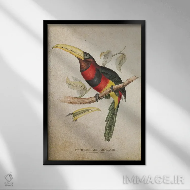 تابلو آراکاری منقارعاجی (وینتیج) اثر پیکسل کهنه (استودیو/نام هنری) - نمای قابدار مشکی