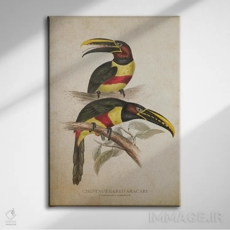 تابلو آراکاری گوشبلوطی (وینتیج) اثر پیکسل کهنه (استودیو/نام هنری) - نمای روبهرو روی دیوار