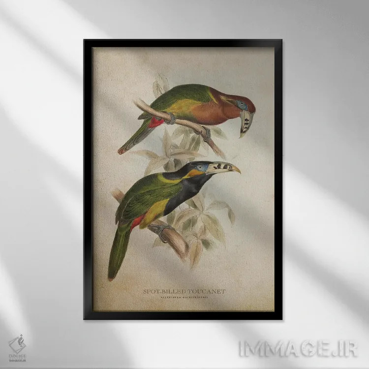 تابلو توقانه منقاردار خالدار (وینتیج) اثر پیکسل کهنه (استودیو/نام هنری) - نمای قابدار مشکی