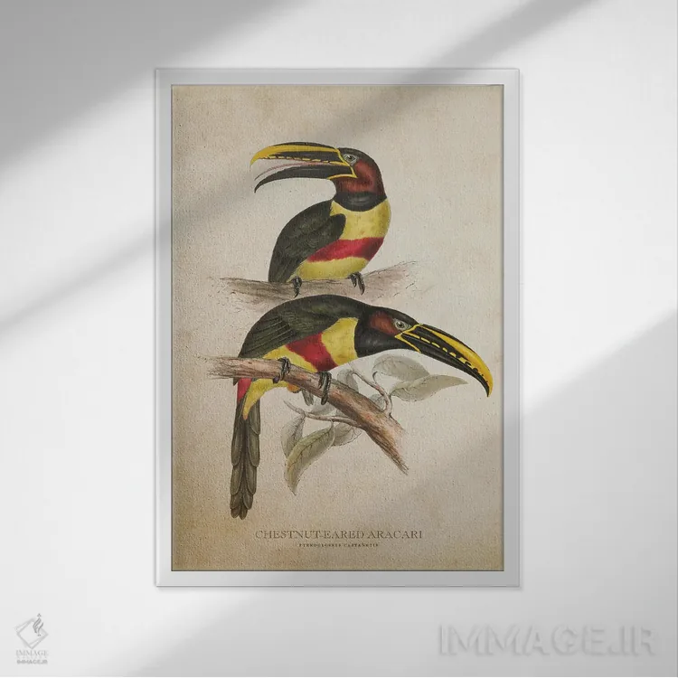 تابلو آراکاری گوشبلوطی (وینتیج) اثر پیکسل کهنه (استودیو/نام هنری) - نمای قابدار سفید