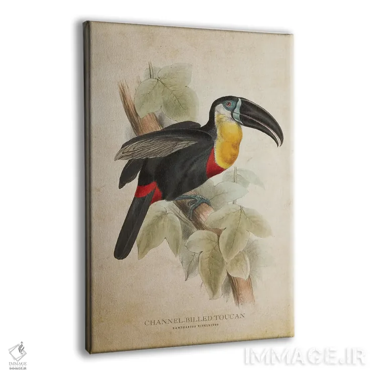 تابلو توقان با منقار کانالدار (وینتیج) اثر پیکسل کهنه (استودیو/نام هنری) - نمای پرسپکتیو محصول