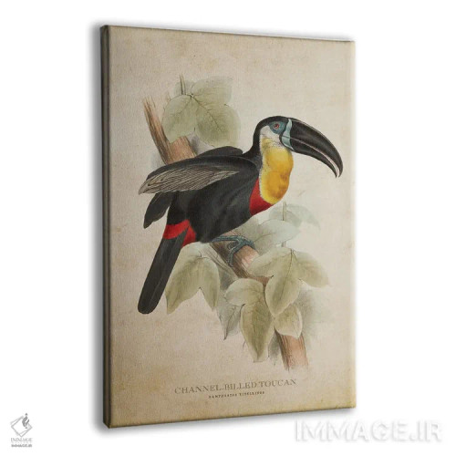 تابلو توقان با منقار کانالدار (وینتیج) اثر پیکسل کهنه (استودیو/نام هنری) - نمای پرسپکتیو محصول