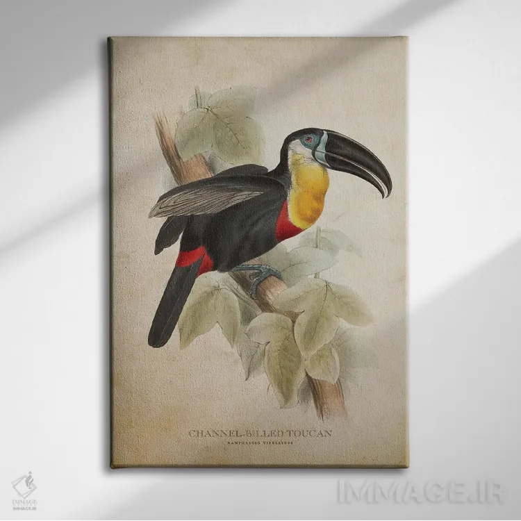 تابلو توقان با منقار کانالدار (وینتیج) اثر پیکسل کهنه (استودیو/نام هنری) - نمای روبهرو روی دیوار